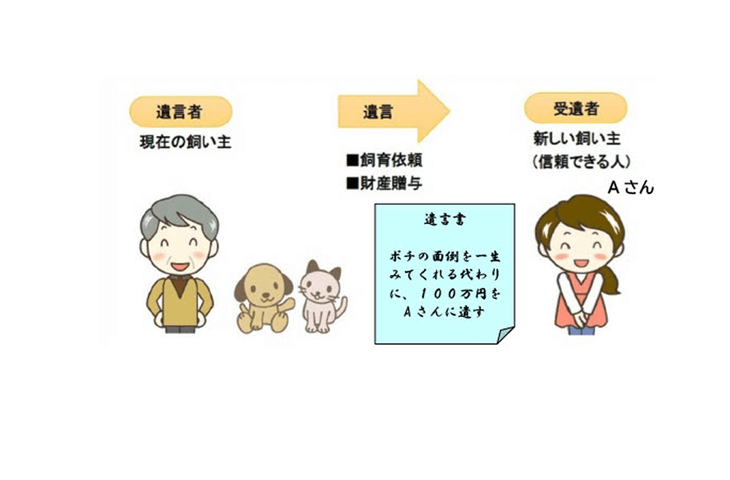 遺言に関する説明イラスト