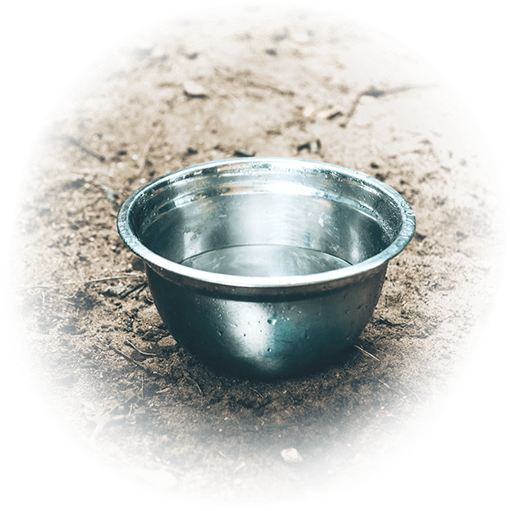 銀色のエサ入れ