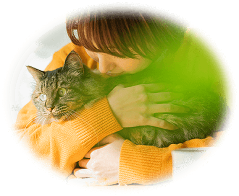 飼い主に背後から抱きしめられている猫